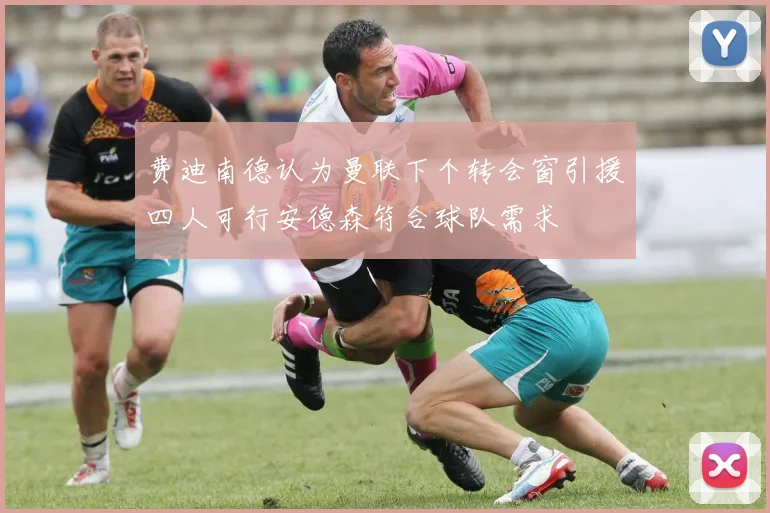 费迪南德认为曼联下个转会窗引援四人可行安德森符合球队需求