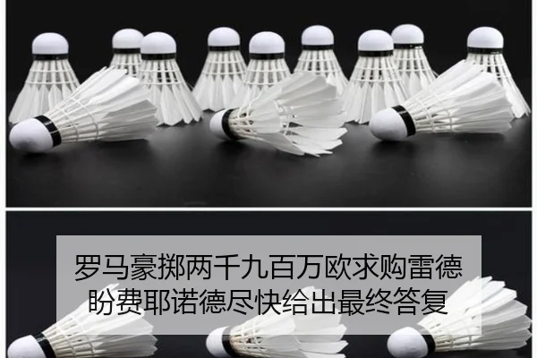 罗马豪掷两千九百万欧求购雷德 盼费耶诺德尽快给出最终答复