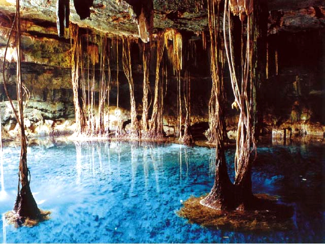 dzitnupcenote